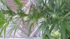 20130817_104421.jpg 20130817_104421.jpg