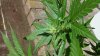 20130821_134227.jpg 20130821_134227.jpg