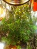 2013-08-21 19.11.37.jpg