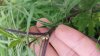 20130822_093626.jpg