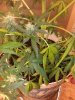 20130822_155516.jpg