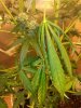 20130822_155832.jpg
