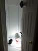 IMG_0054.JPG