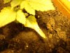 DSC04760.jpg