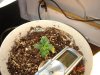 DSC01472.jpg