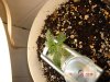 DSC01478.jpg