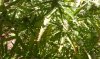 IMAG0542.jpg