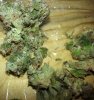 20130825_202428.jpg 20130825_202428.jpg