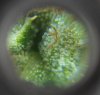 DSCN8066.jpg