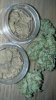 IMG_20130412_221318.jpg