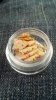 2013-06-19_16-13-53_230.jpg