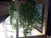 20130823_125737.jpg