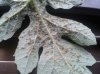 WP_003766.jpg WP_003766.jpg