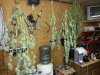 20130826_214204.jpg 20130826_214204.jpg
