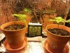 20130828_155620.jpg 20130828_155620.jpg