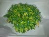 20130829_105755.jpg