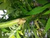 20130830_152347.jpg