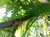 20130830_152411.jpg