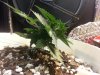 Day22lst.jpg