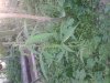 2013-08-31 19.24.04.jpg
