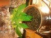 20130901_122605.jpg 20130901_122605.jpg