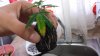 20130901_112314.jpg