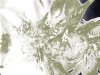 1_weeded_0132.jpg