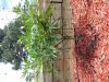 20130826_123405.jpg