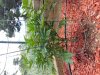 20130826_123412.jpg 20130826_123412.jpg