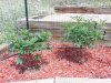 20130826_123423.jpg