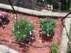 20130826_123448.jpg 20130826_123448.jpg
