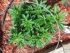 20130827_145703.jpg 20130827_145703.jpg