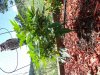 20130827_145819.jpg 20130827_145819.jpg