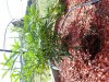 20130827_145831.jpg