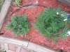 20130828_171604.jpg