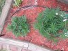 20130828_171613.jpg