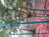 20130828_171637.jpg