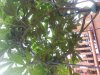 20130828_171856.jpg