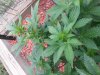 20130828_171906.jpg