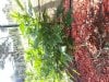 20130901_180142.jpg