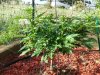 20130901_180230.jpg 20130901_180230.jpg