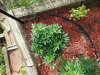 20130901_180259.jpg
