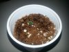 20130904_095728.jpg 20130904_095728.jpg