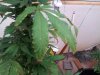 20130904_142128.jpg 20130904_142128.jpg