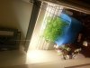 20130904_163048.jpg