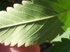 20130904_163157.jpg