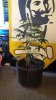 20130904_131732.jpg