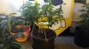 20130904_133443.jpg