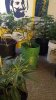 20130904_133530.jpg