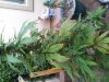 20130904_185328.jpg